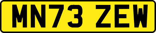 MN73ZEW