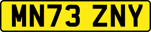 MN73ZNY