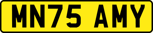 MN75AMY