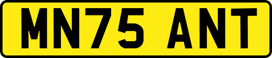 MN75ANT