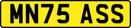 MN75ASS