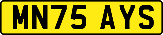 MN75AYS