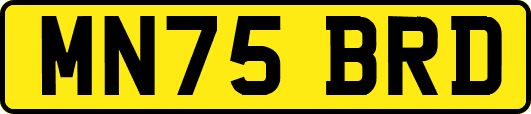 MN75BRD