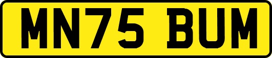 MN75BUM