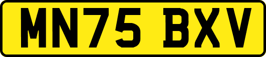 MN75BXV