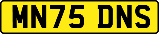 MN75DNS