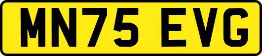 MN75EVG