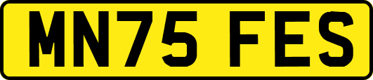 MN75FES