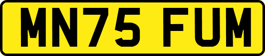 MN75FUM