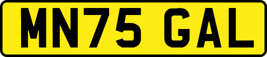 MN75GAL