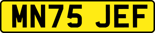 MN75JEF