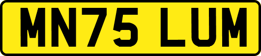 MN75LUM