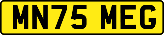 MN75MEG