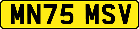 MN75MSV
