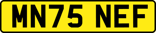 MN75NEF