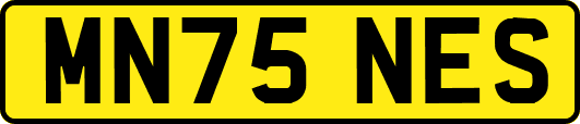 MN75NES