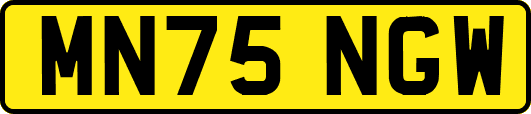 MN75NGW