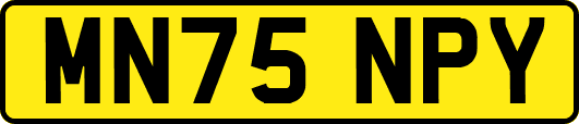 MN75NPY