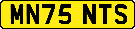 MN75NTS