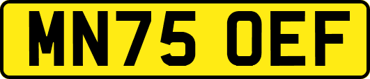 MN75OEF