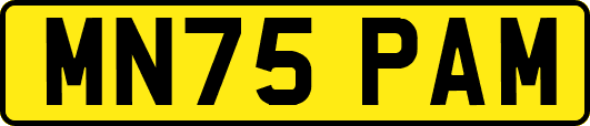 MN75PAM