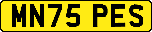 MN75PES