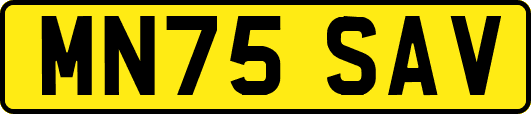 MN75SAV