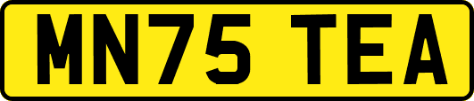 MN75TEA