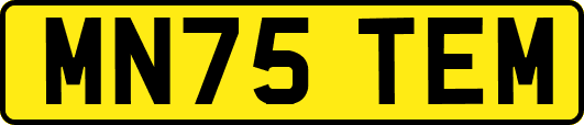 MN75TEM