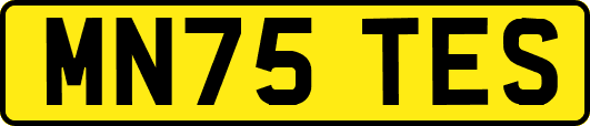 MN75TES