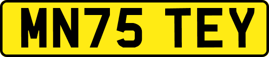 MN75TEY