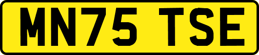 MN75TSE