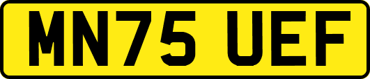 MN75UEF