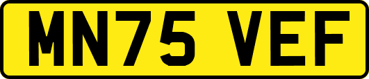 MN75VEF