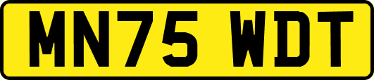 MN75WDT