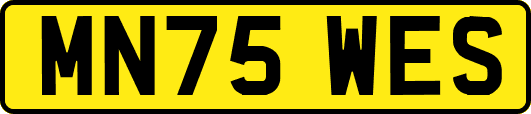 MN75WES