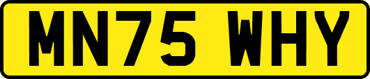 MN75WHY