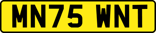 MN75WNT