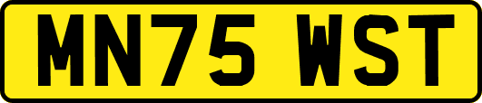 MN75WST