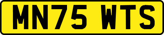 MN75WTS