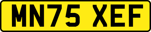 MN75XEF