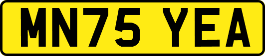 MN75YEA