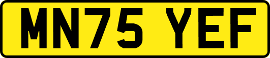 MN75YEF