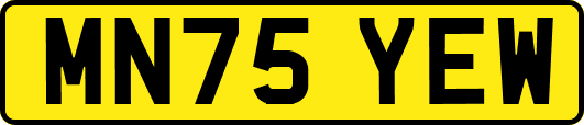 MN75YEW
