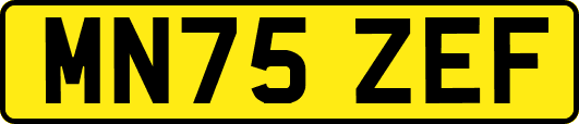 MN75ZEF