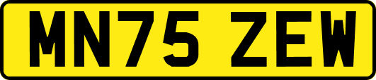 MN75ZEW
