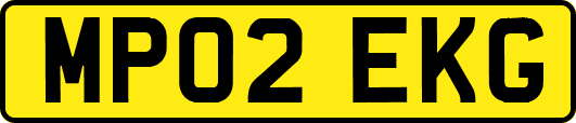 MP02EKG