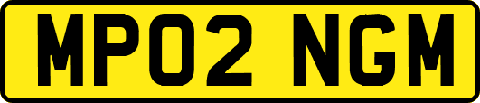 MP02NGM