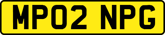 MP02NPG