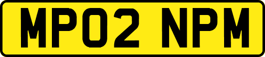 MP02NPM